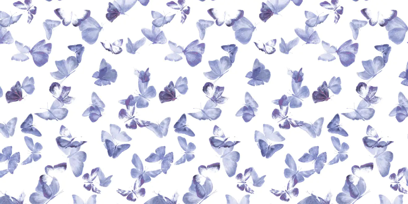 Battements D'Ailes BDA06 — papel pintado Ressource Sauvage
